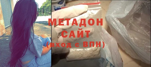 крисы Корсаков