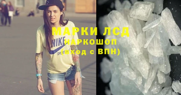 крисы Корсаков