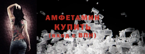 крисы Корсаков