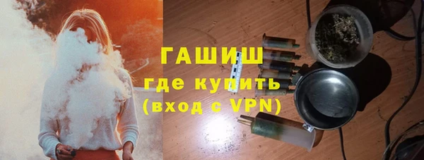 сатива Коряжма