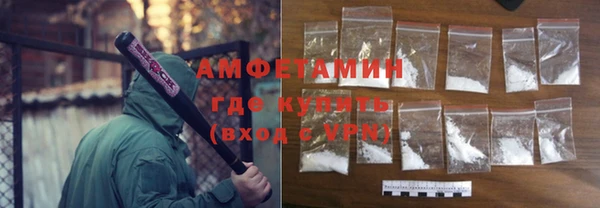 крисы Корсаков