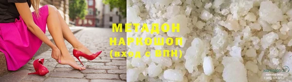 крисы Корсаков