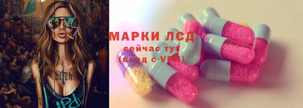 сатива Коряжма