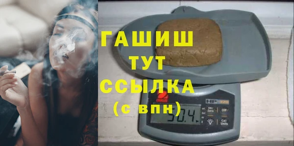 сатива Коряжма