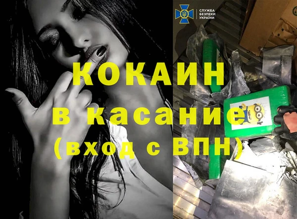 сатива Коряжма