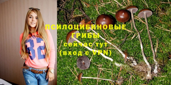 PSILOCYBIN Краснотурьинск