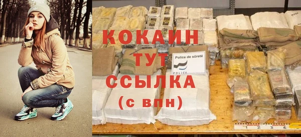 крисы Корсаков