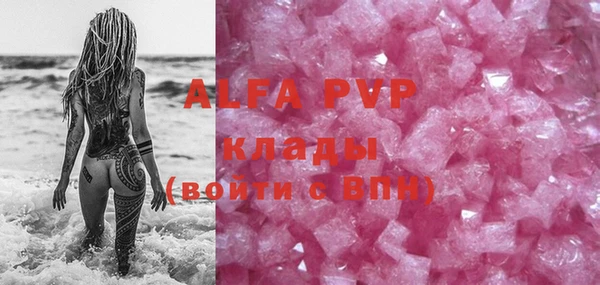 крисы Корсаков