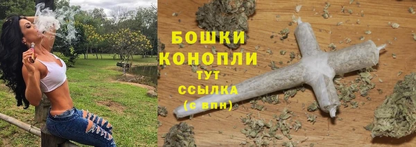 крисы Корсаков