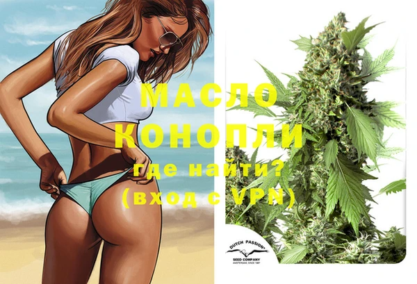 крисы Корсаков