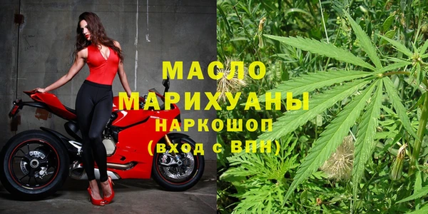 крисы Корсаков