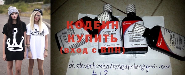 крисы Корсаков