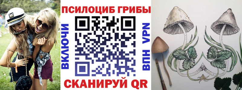 Купить где  Котельниково  Галлюциногенные грибы мицелий 